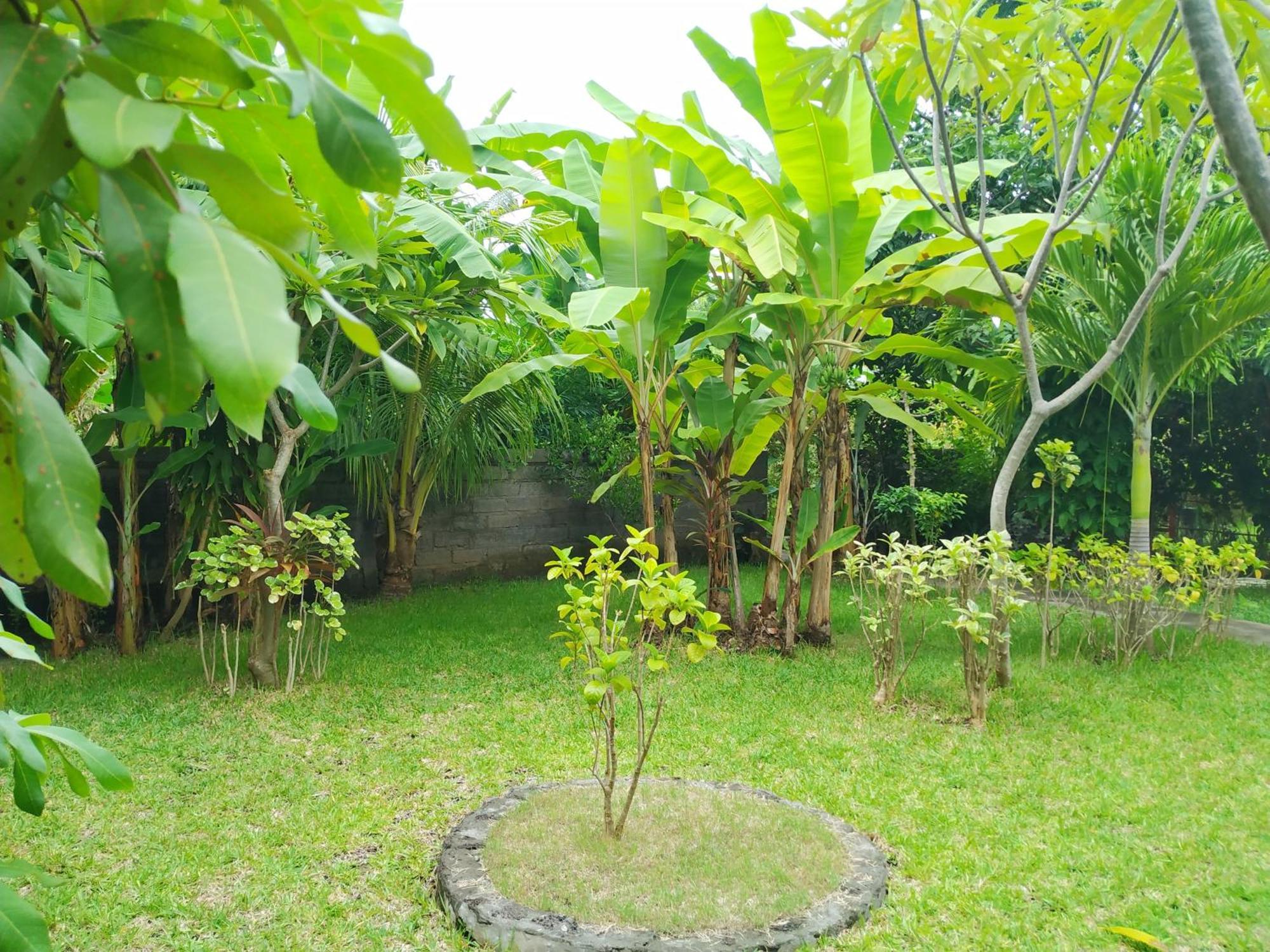 Asih Homestay Пемутеран Экстерьер фото