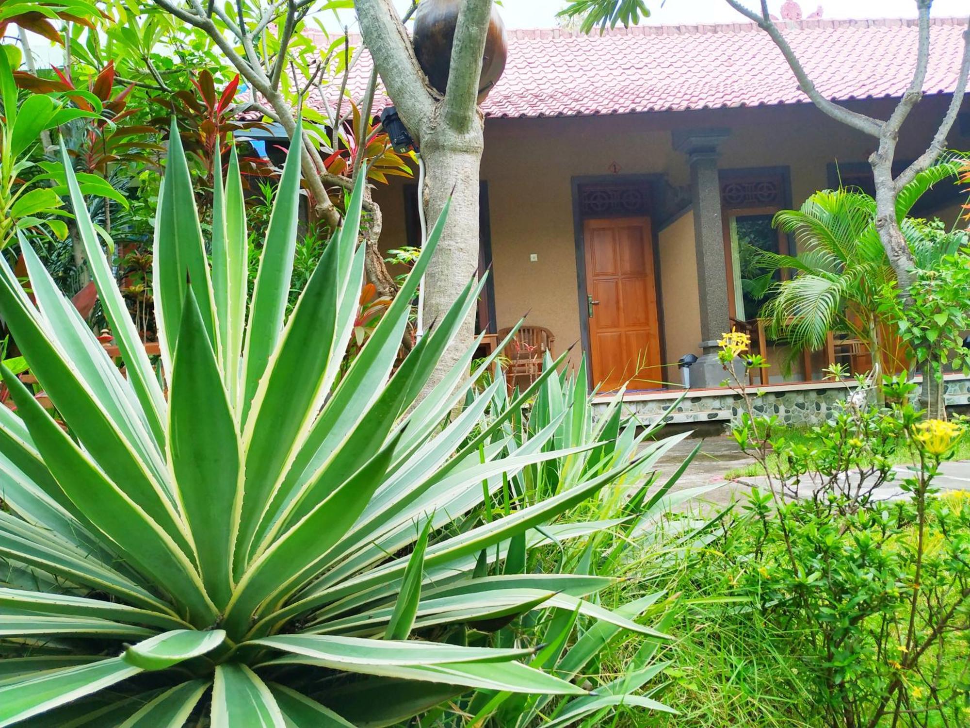 Asih Homestay Пемутеран Экстерьер фото
